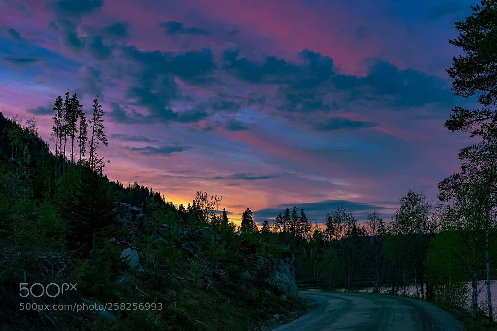 Sony a7 II sample photo. "my road" photography