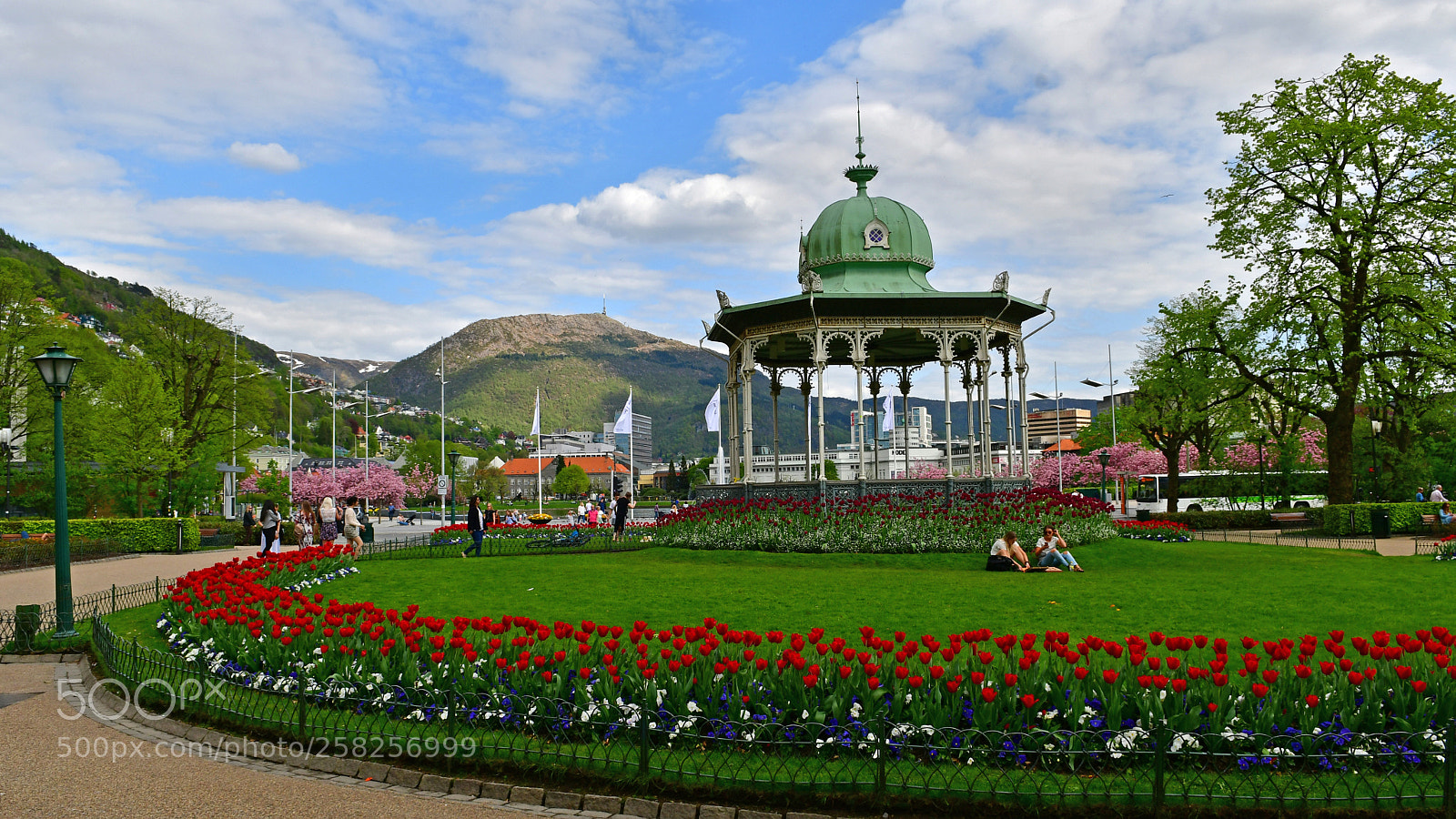 Nikon D500 sample photo. Greetings from bergen photography