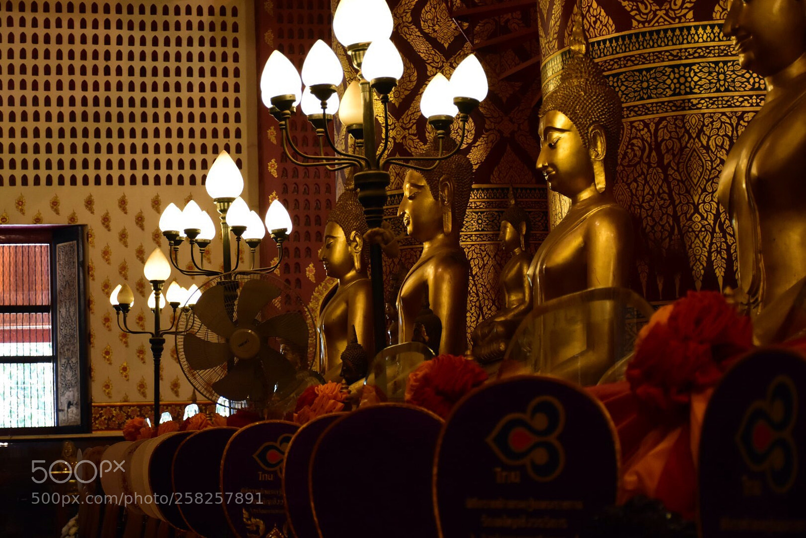 Nikon D5500 sample photo. Untitled photography