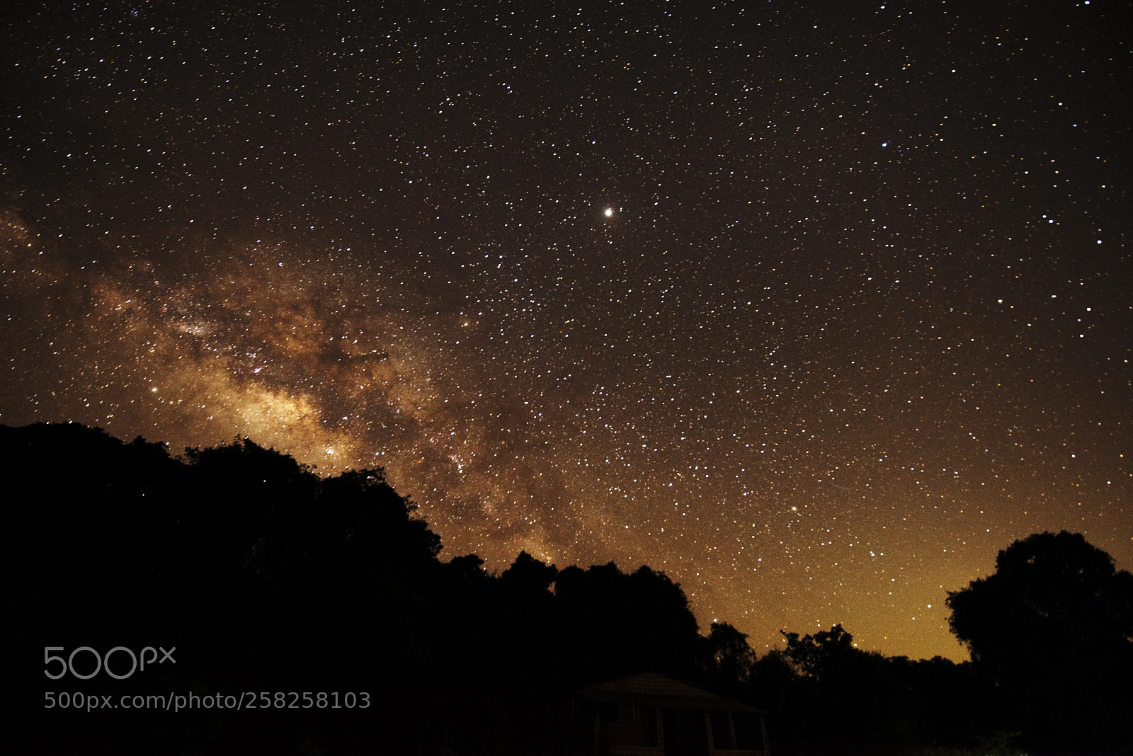 Nikon D610 sample photo. Milky way photography