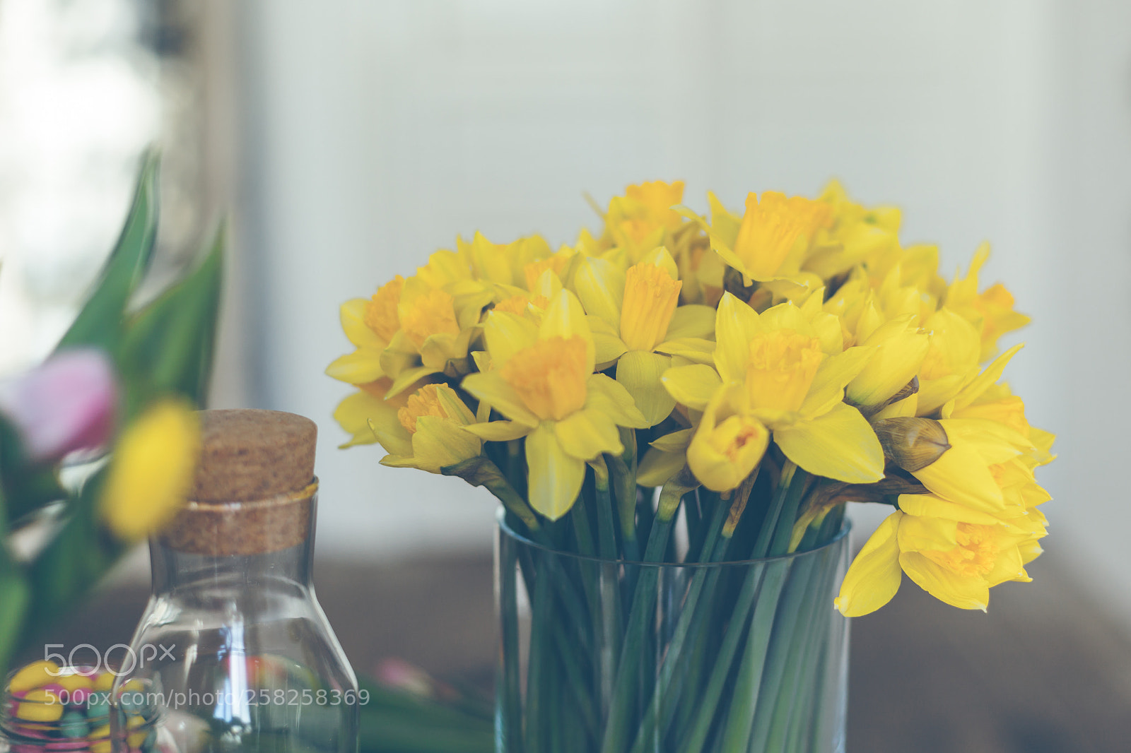 Canon EOS 5D Mark II sample photo. Yellow narcissuses bouquet in photography