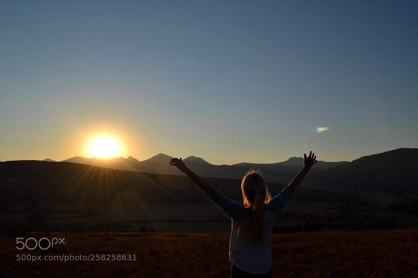 Nikon D3100 sample photo. Untitled photography