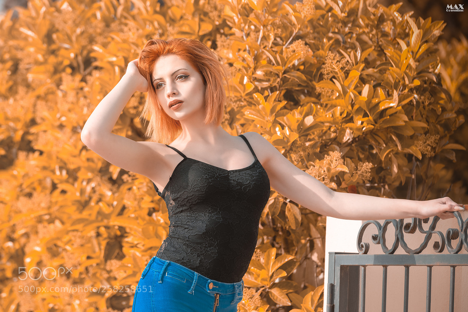 Nikon D600 sample photo. Charlotte photography