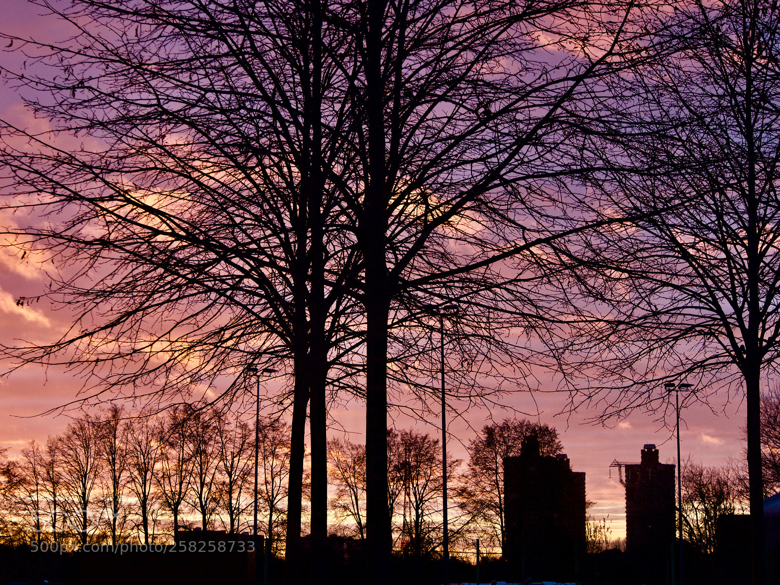 Olympus OM-D E-M5 sample photo. Color evening photography