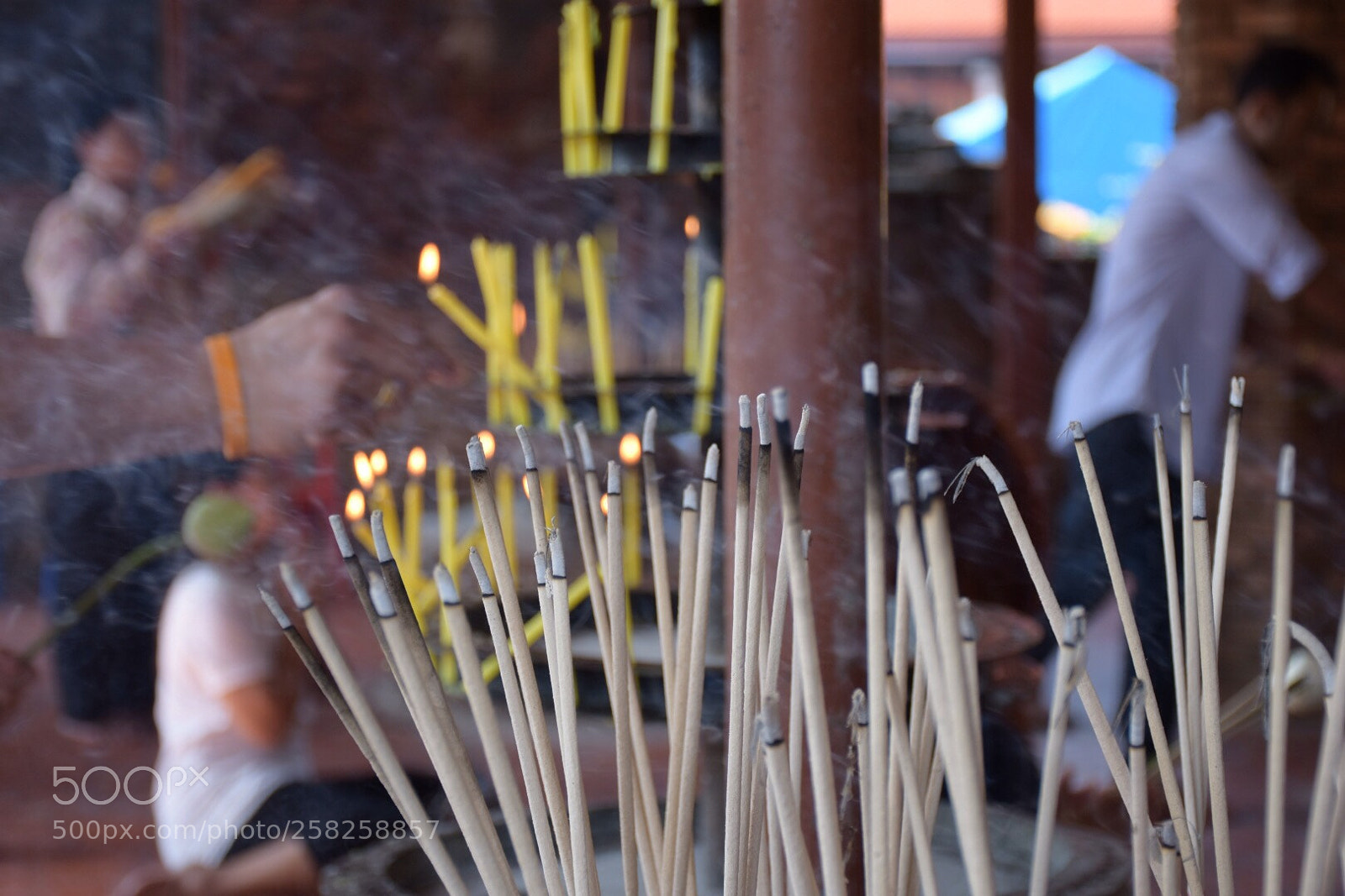 Nikon D5500 sample photo. Untitled photography