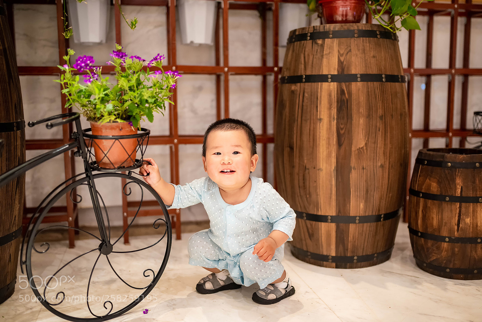 Nikon D810 sample photo. X photography