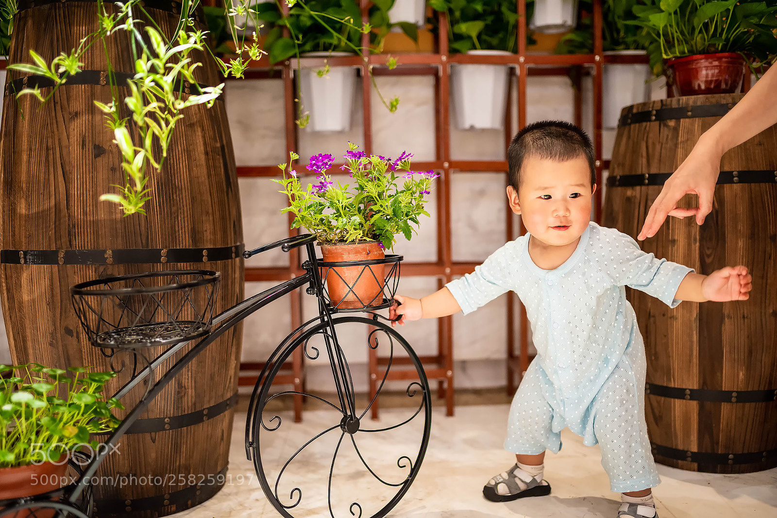 Nikon D810 sample photo. X photography