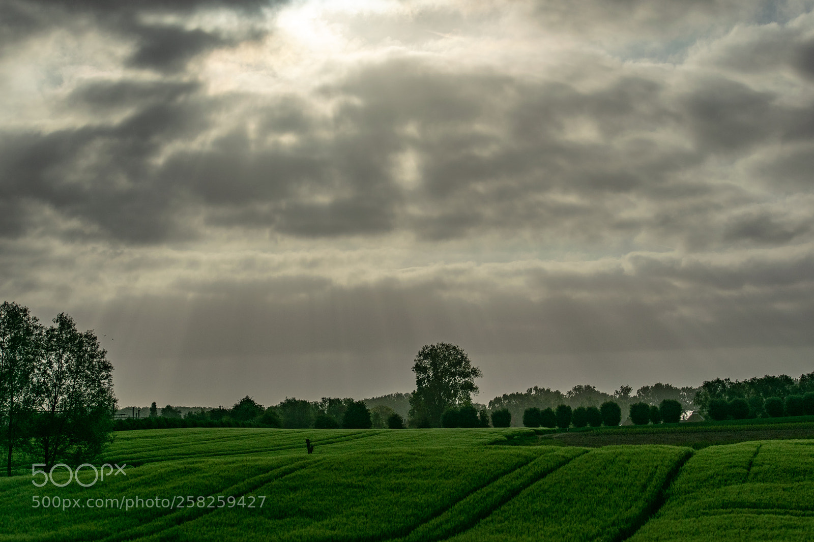 Nikon D5300 sample photo. Sunrays through the clouds photography