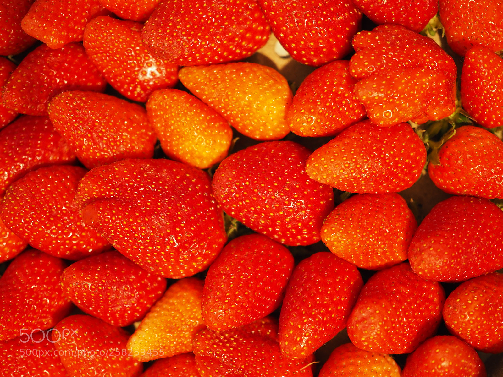 Olympus OM-D E-M10 II sample photo. Strawberry summer photography