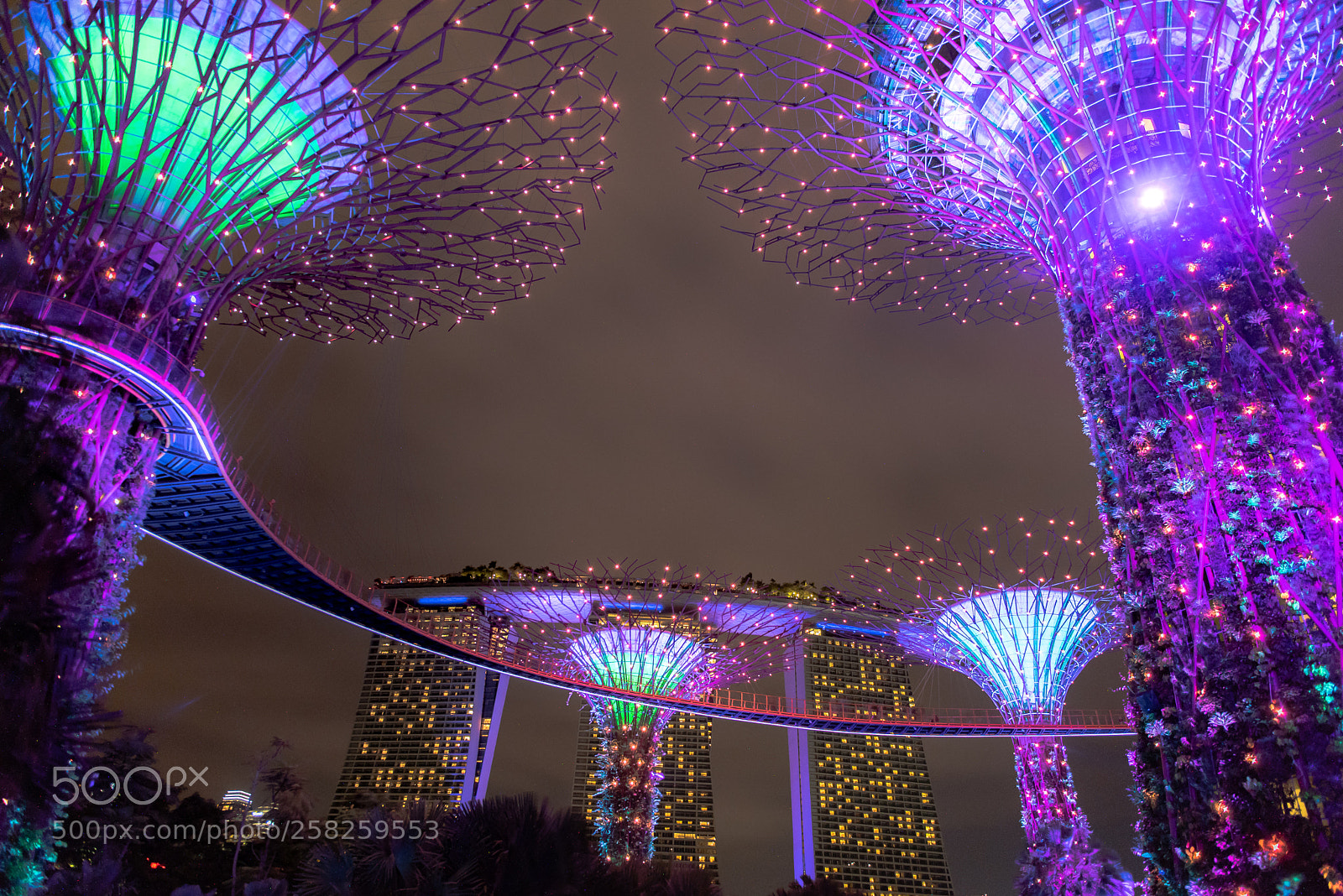 Nikon D750 sample photo. Gardens by the bay photography