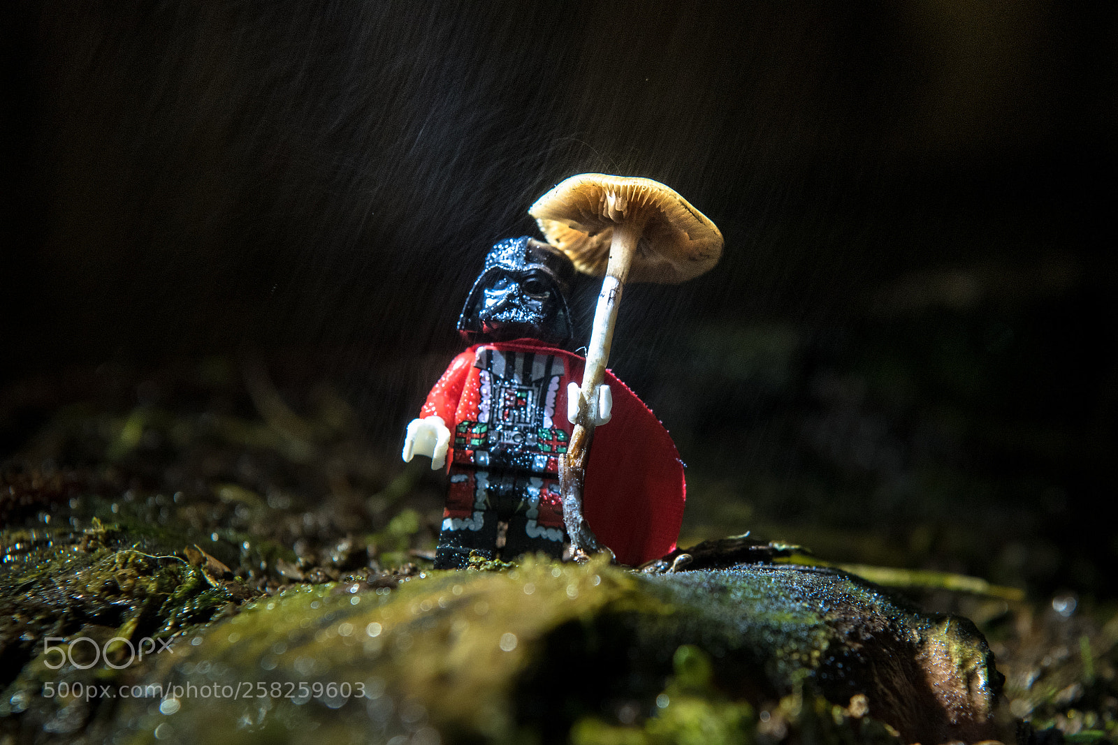 Nikon D750 sample photo. Vader in the rain photography