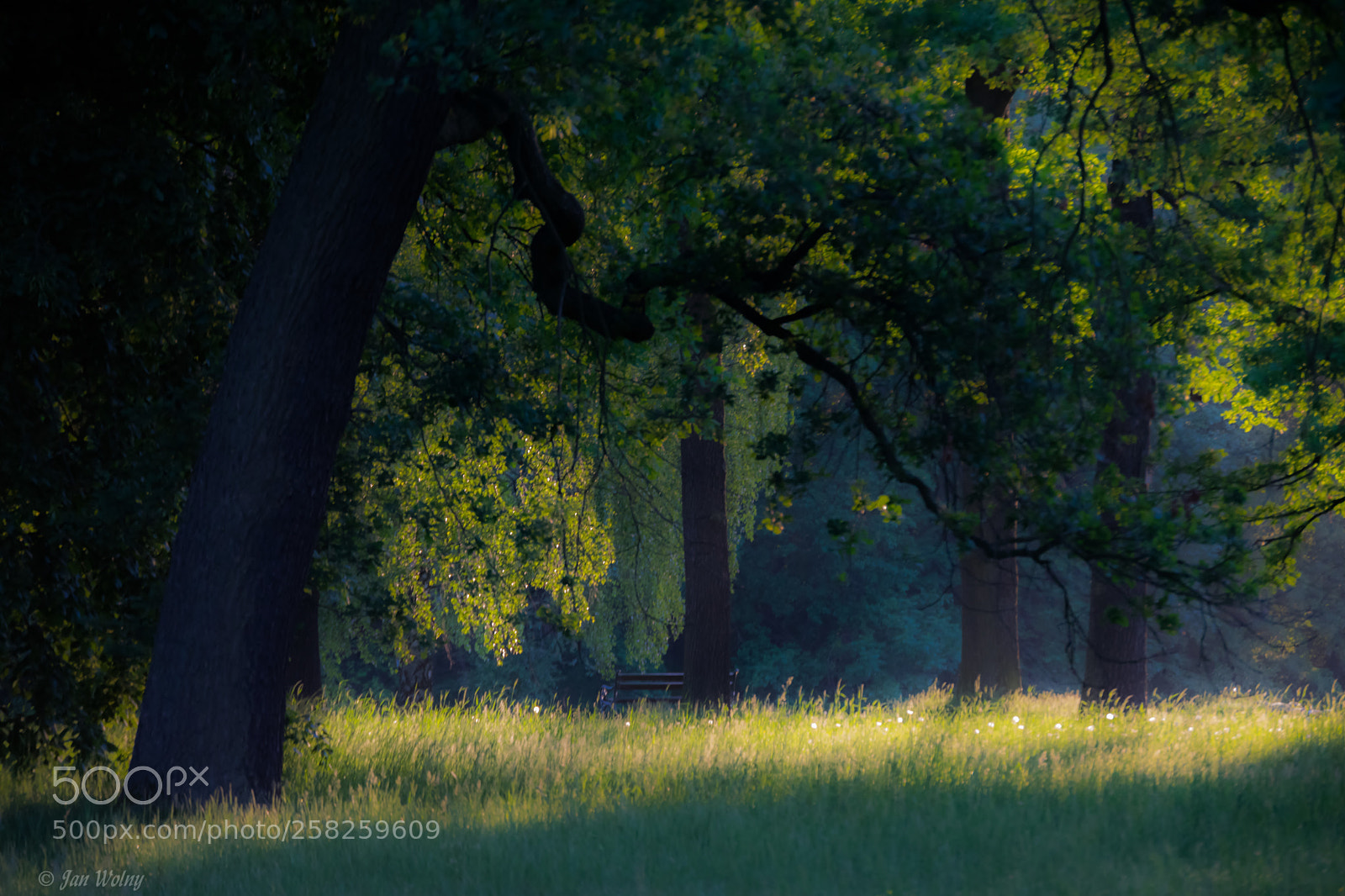 Nikon D3300 sample photo. Morning bench photography