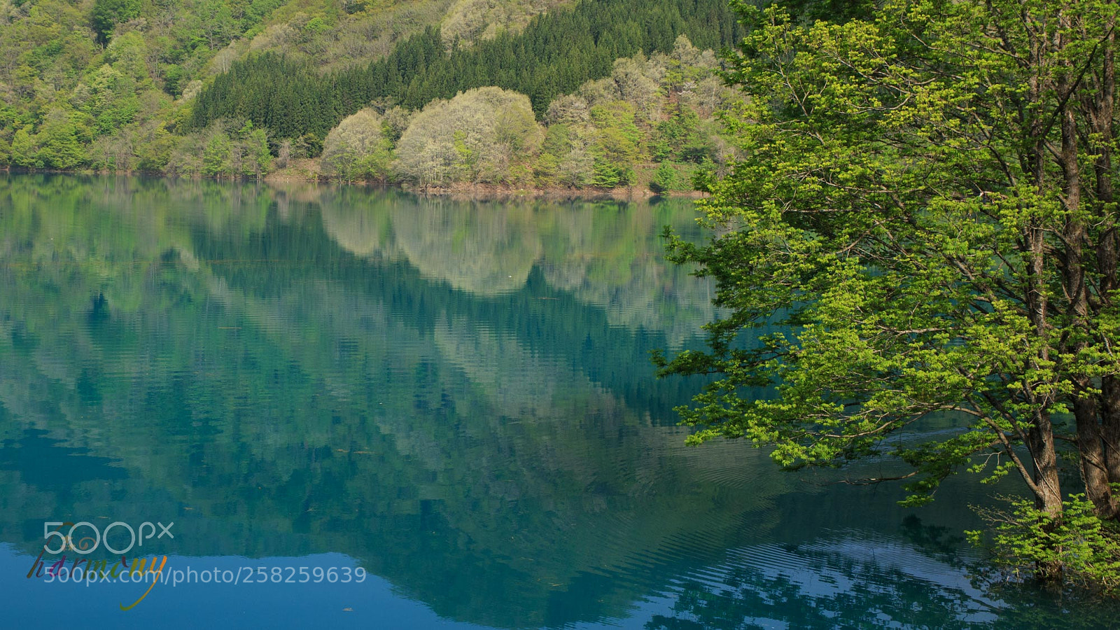 Canon EOS 6D sample photo. Mountain in the lake photography