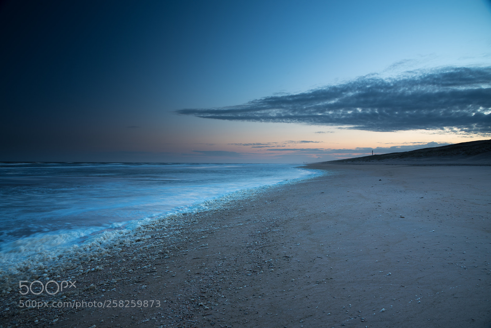 Nikon D750 sample photo. Windy sunrise in noordwijk photography