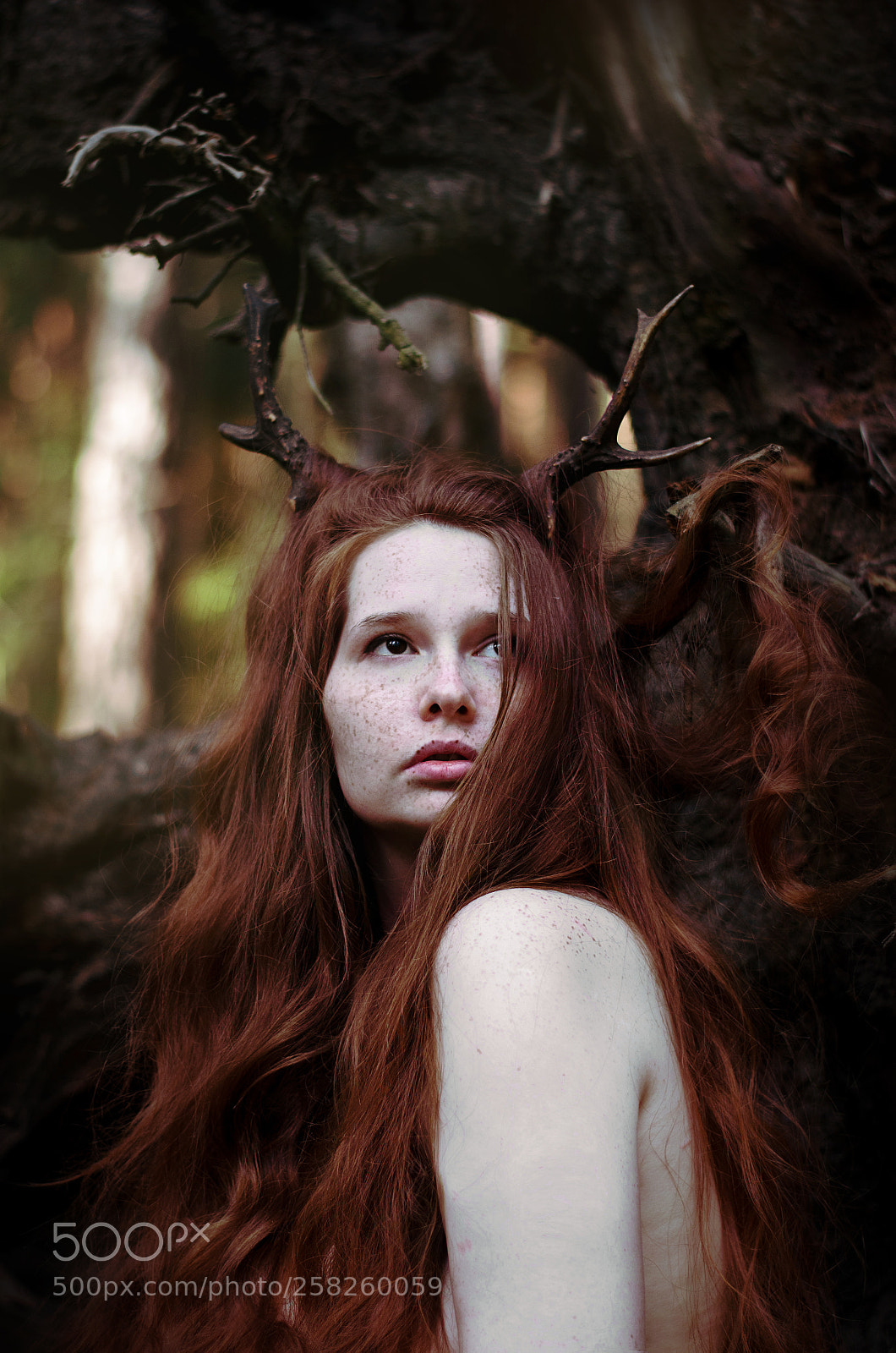 Nikon D5100 sample photo. Deer girl photography