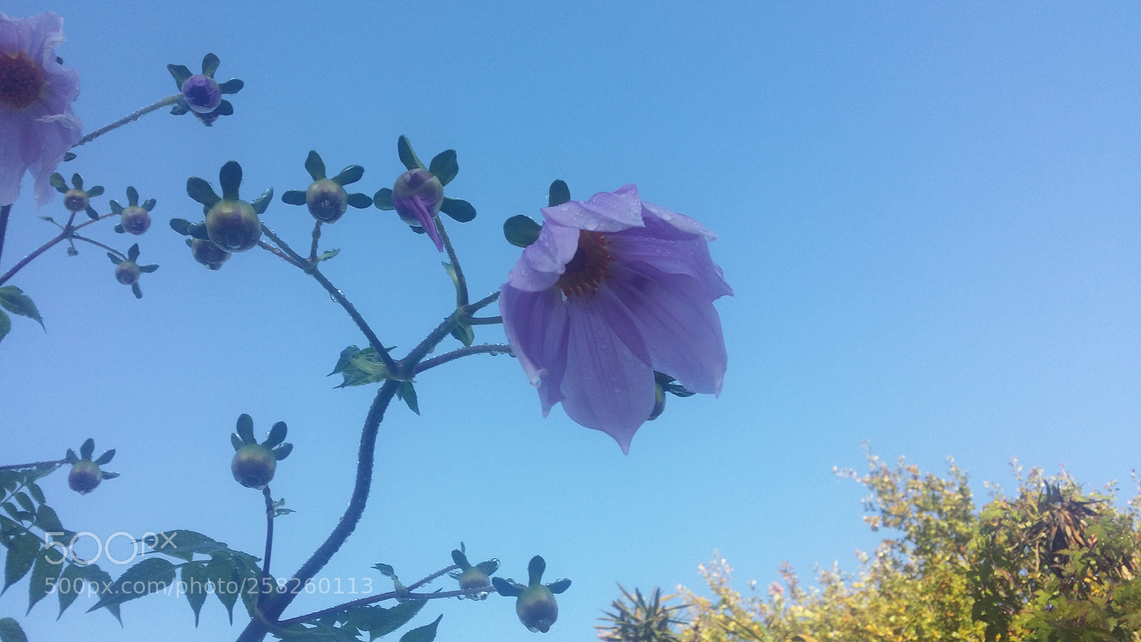 Samsung Galaxy S4 sample photo. Untitled photography