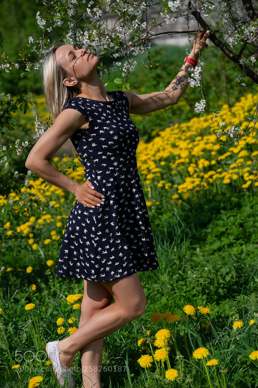 Sony a7 II sample photo. A portrait of a photography