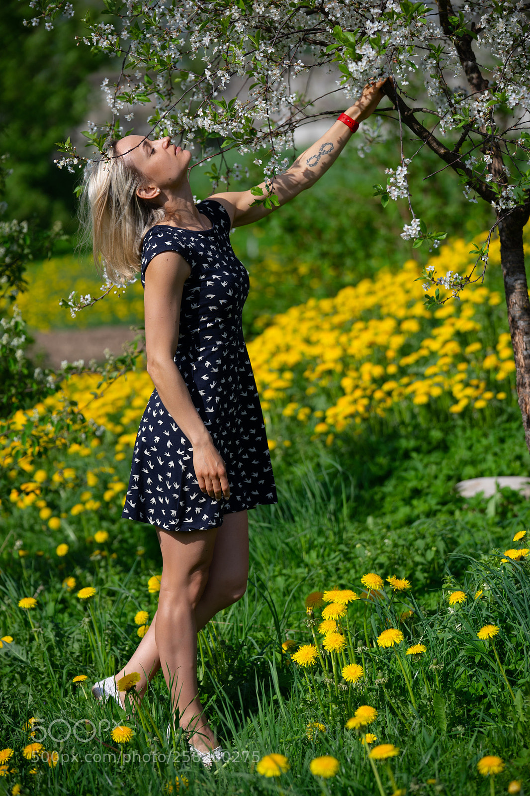 Sony a7 II sample photo. A portrait of a photography