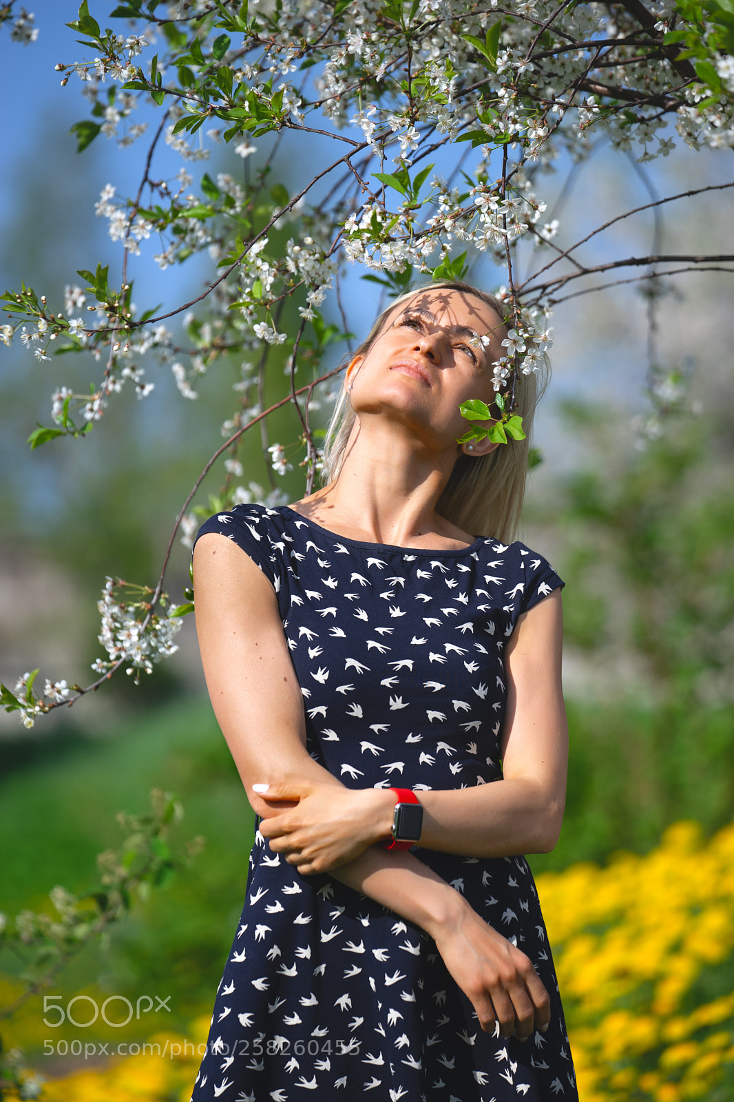 Sony a7 II sample photo. A portrait of a photography