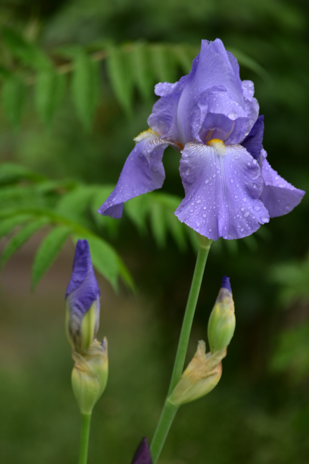 Nikon D3400 sample photo