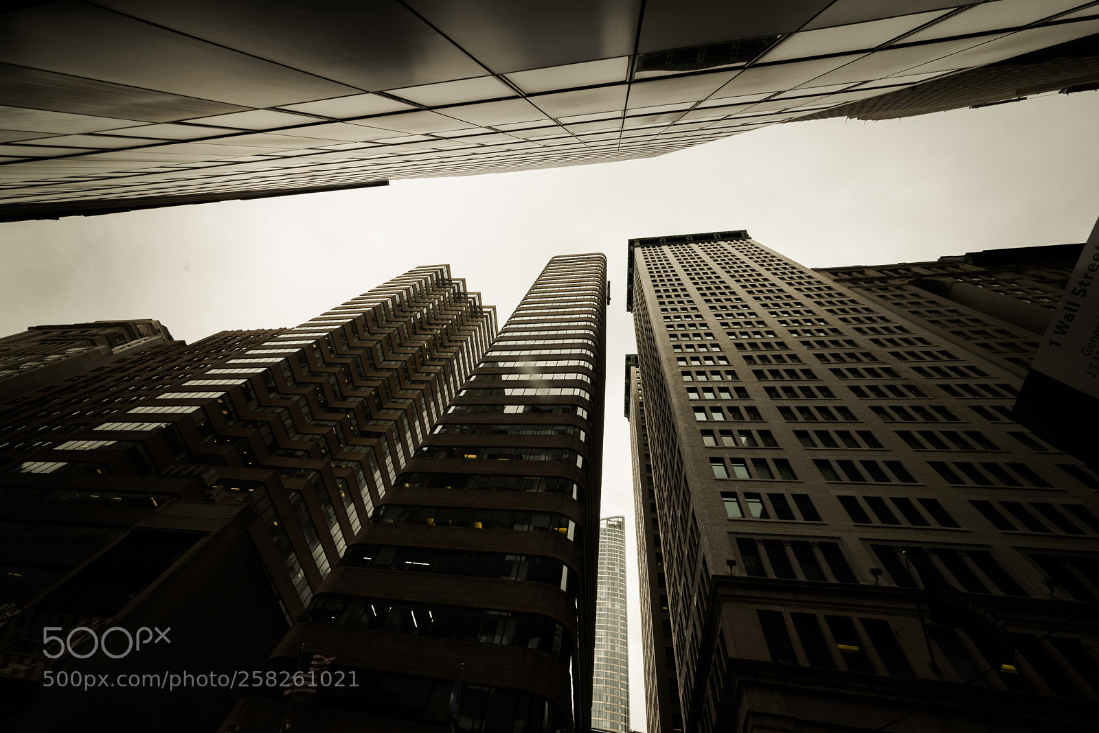 Nikon D610 sample photo. Vertical_lo|:|ok_ photography