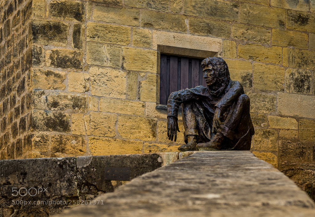 Canon EOS 7D Mark II sample photo. Contemplateur photography