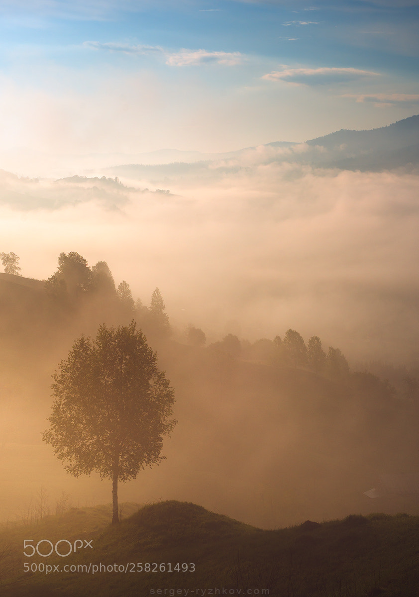 Nikon D800 sample photo. Misty morning in carpathians photography