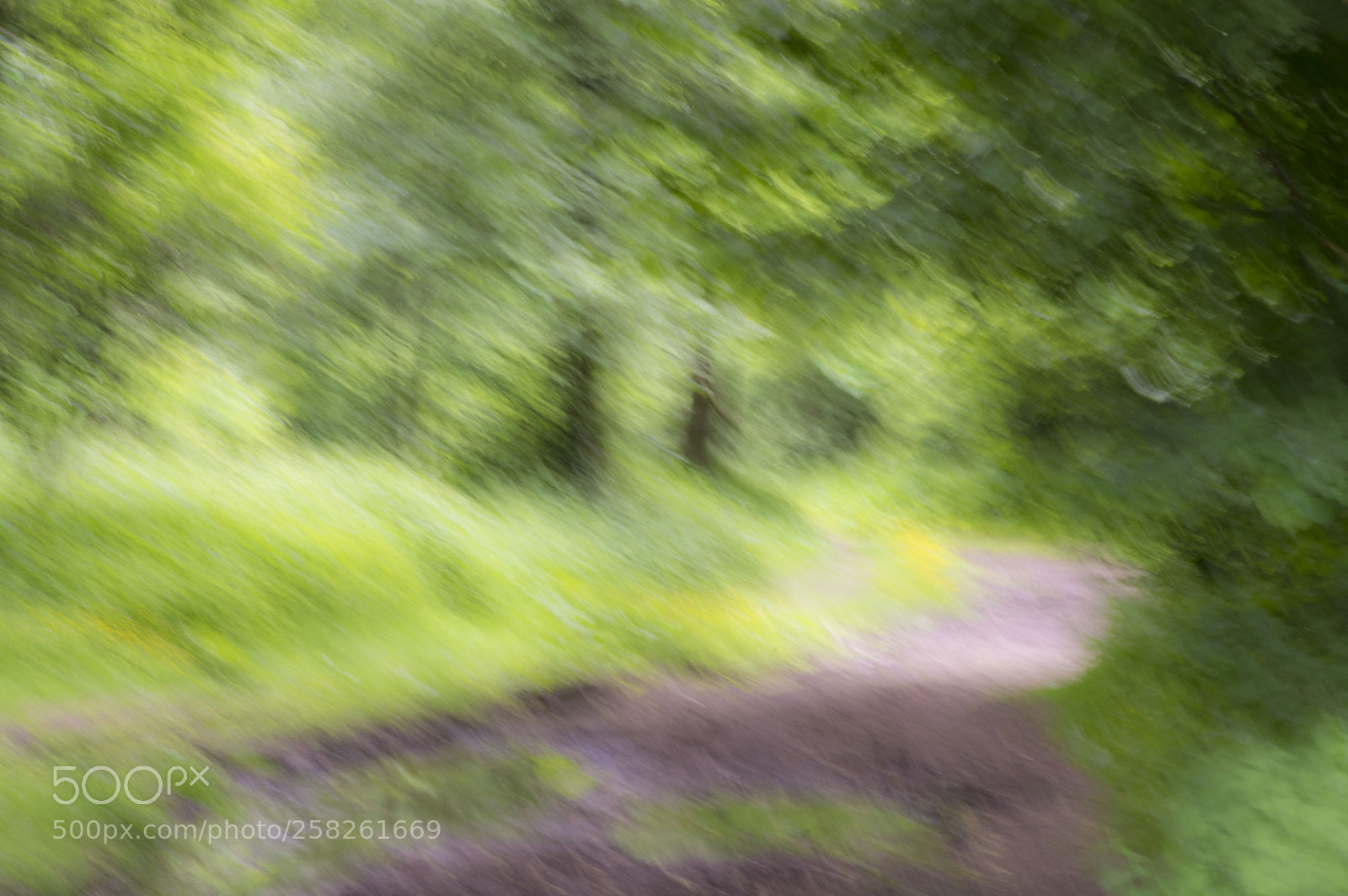 Pentax K-3 sample photo. Le chemin photography