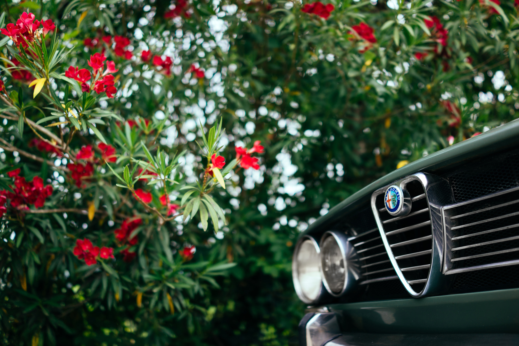 Sony Cyber-shot DSC-RX1 sample photo. Alfa romeo berlina 1750 photography
