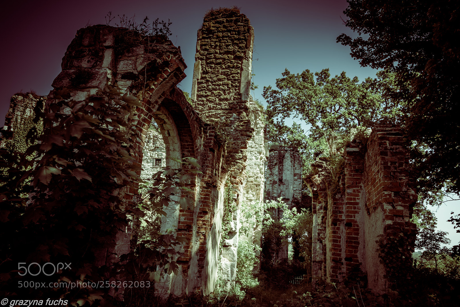 Nikon D3300 sample photo. Betchworth castle photography