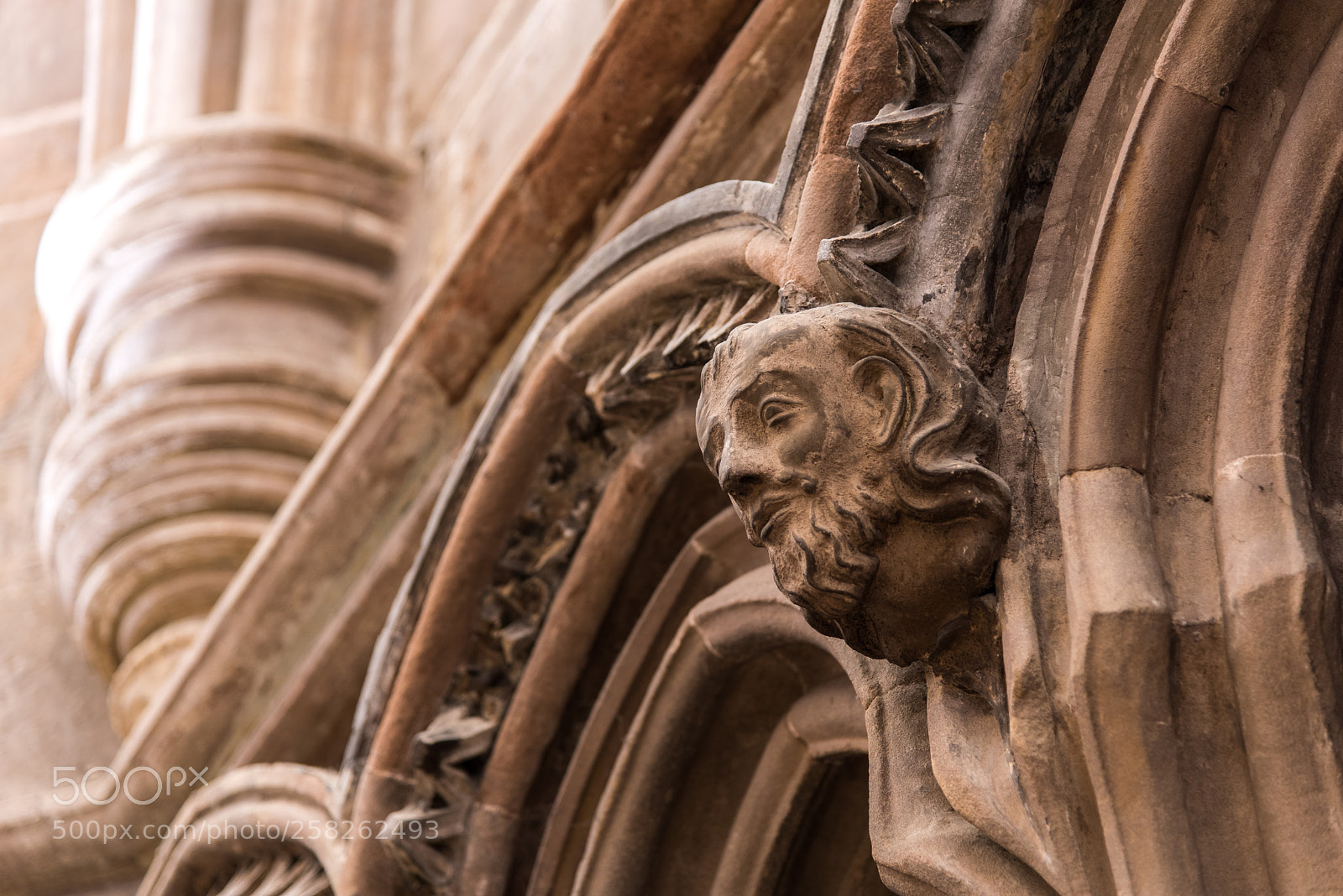Nikon D810 sample photo. Carving in lichfield cathedral photography