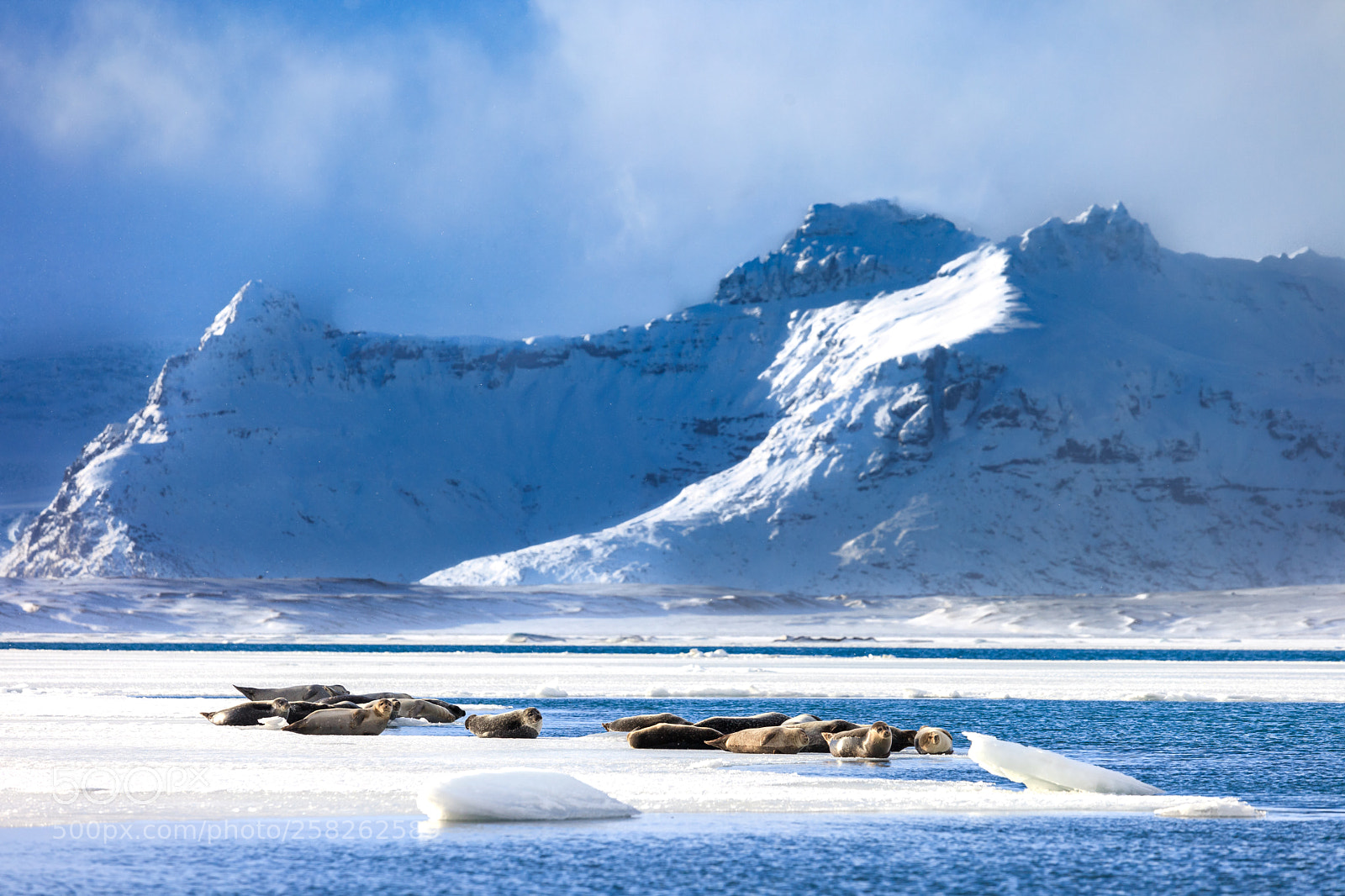 Canon EOS 5D Mark II sample photo. Iceland in winter amazing photography