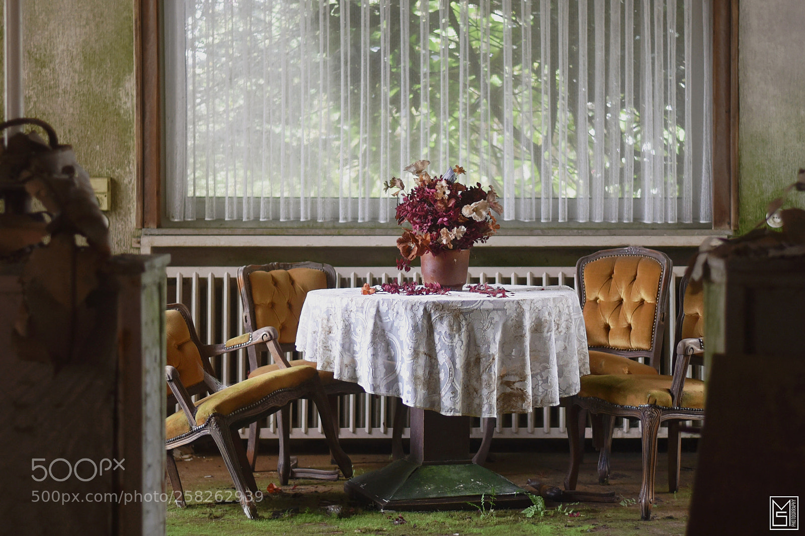 Nikon D750 sample photo. Green dining room photography
