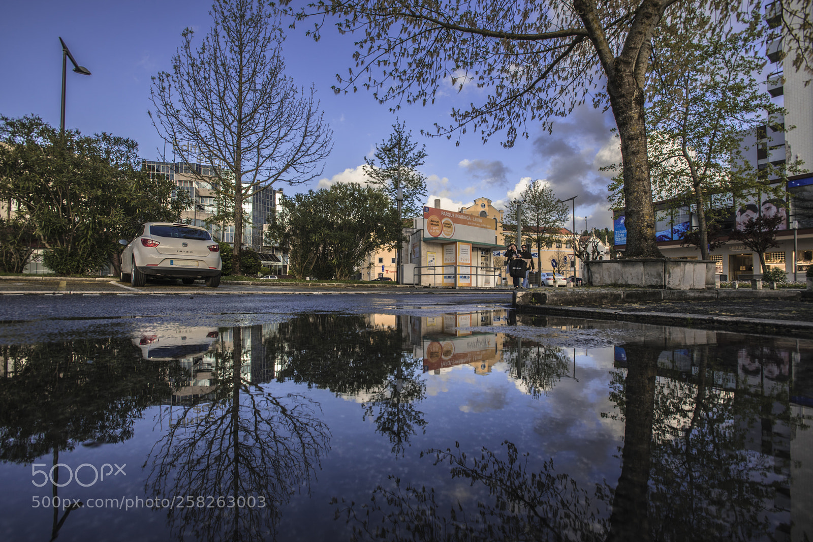 Nikon D750 sample photo. Reflectophotography - ... reflection photography
