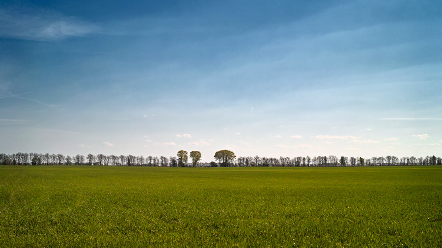 Sigma DP2 sample photo. Springscape. photography