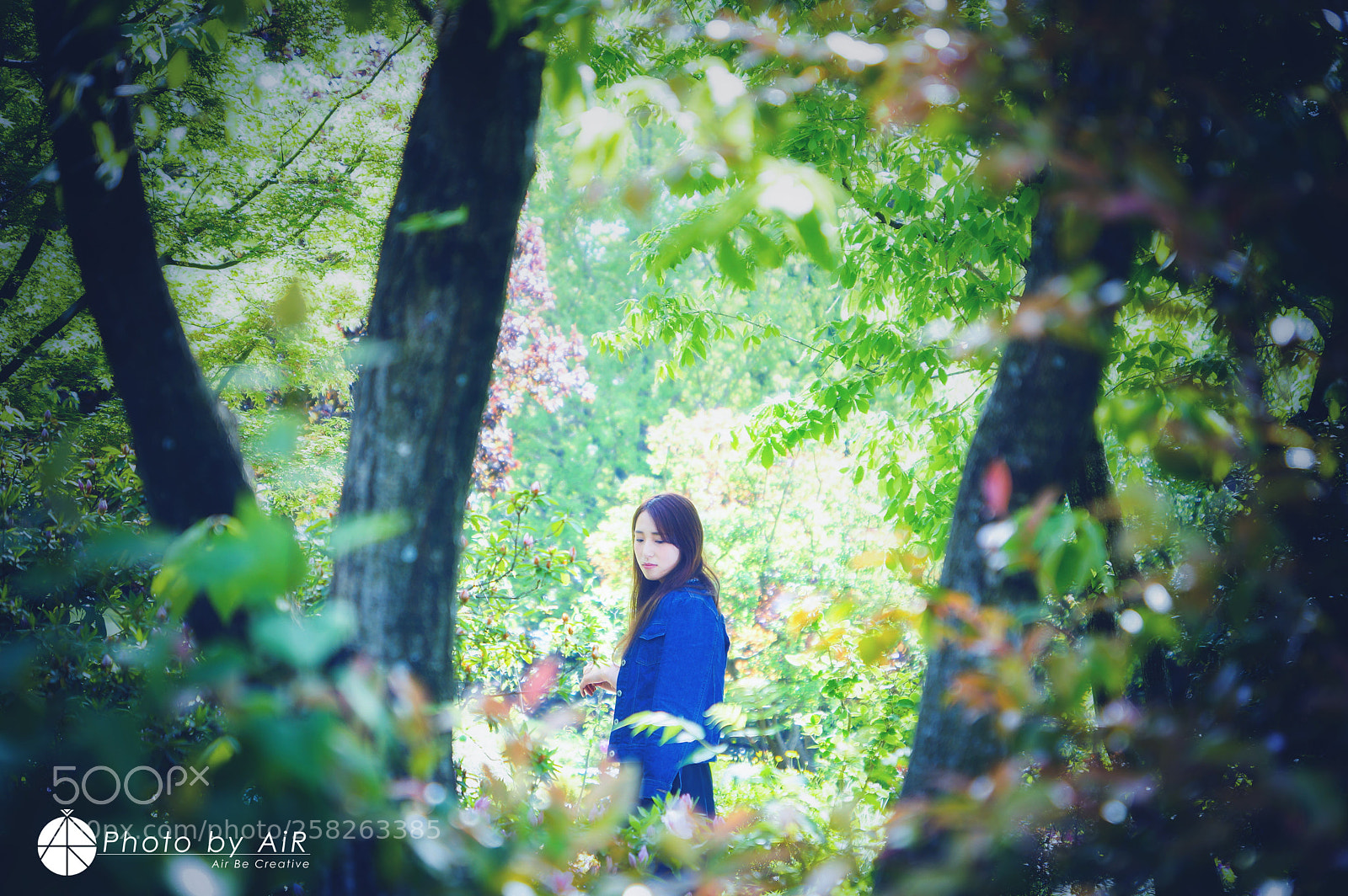Sony SLT-A77 sample photo. In the forest photography