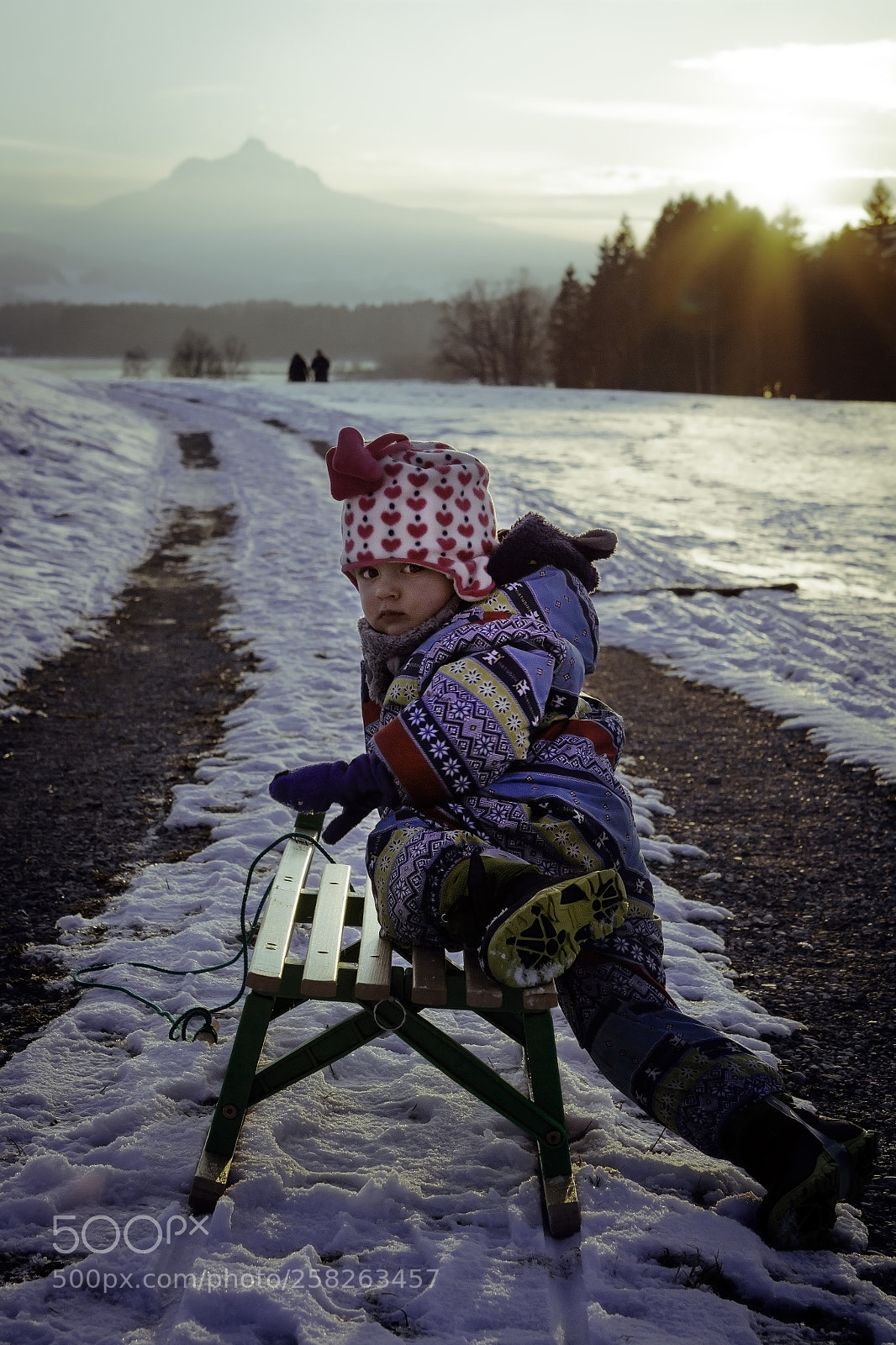 Canon EOS 600D (Rebel EOS T3i / EOS Kiss X5) sample photo. Leia on her sled photography