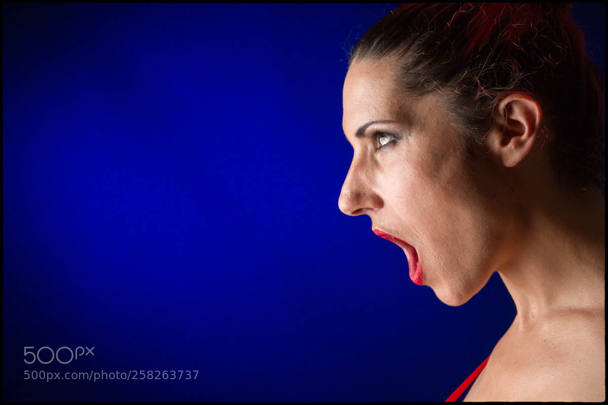 Canon EOS 7D sample photo. The scream photography