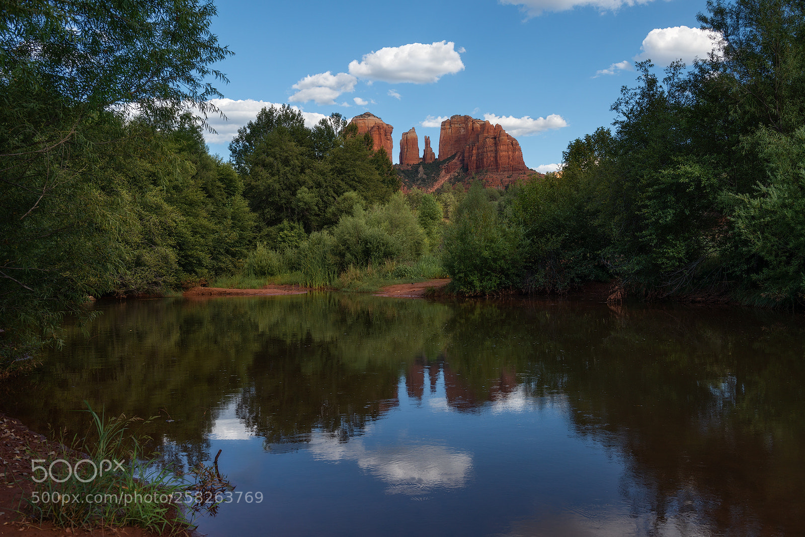 Nikon D800 sample photo. Cathedral rock photography