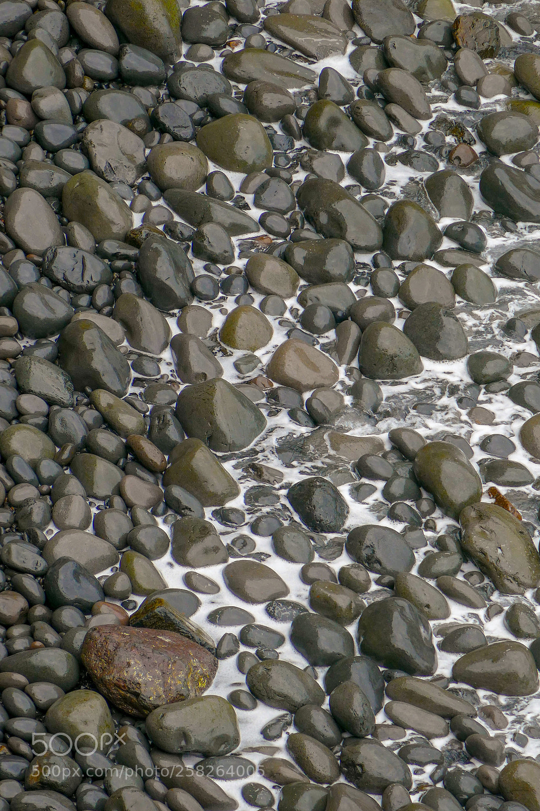 Panasonic Lumix DMC-FZ1000 sample photo. Madere - ponta de photography