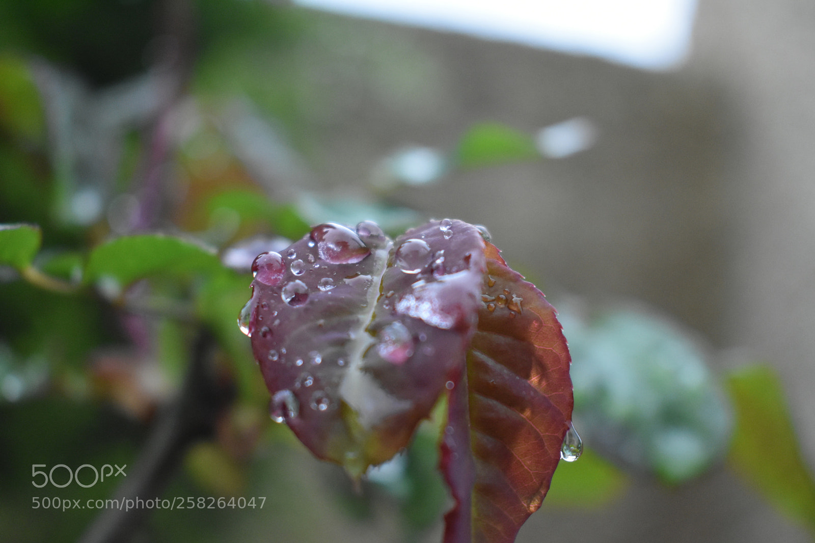 Nikon D3400 sample photo. Untitled photography