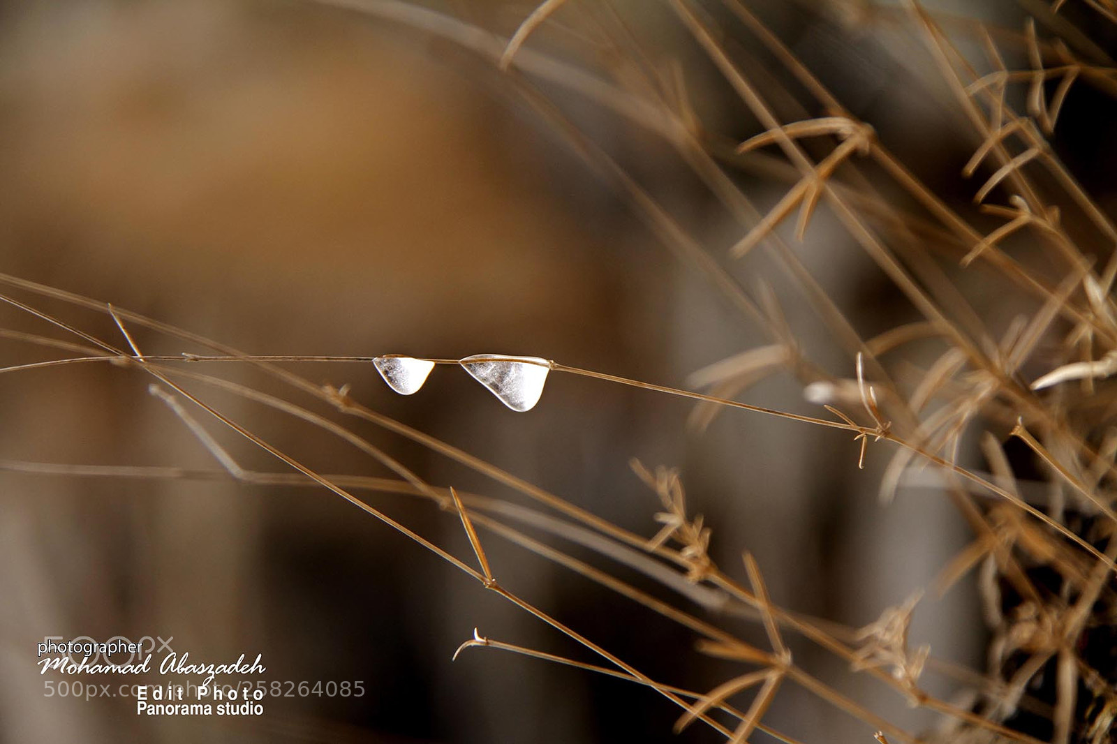 Canon EOS 7D sample photo. Untitled photography