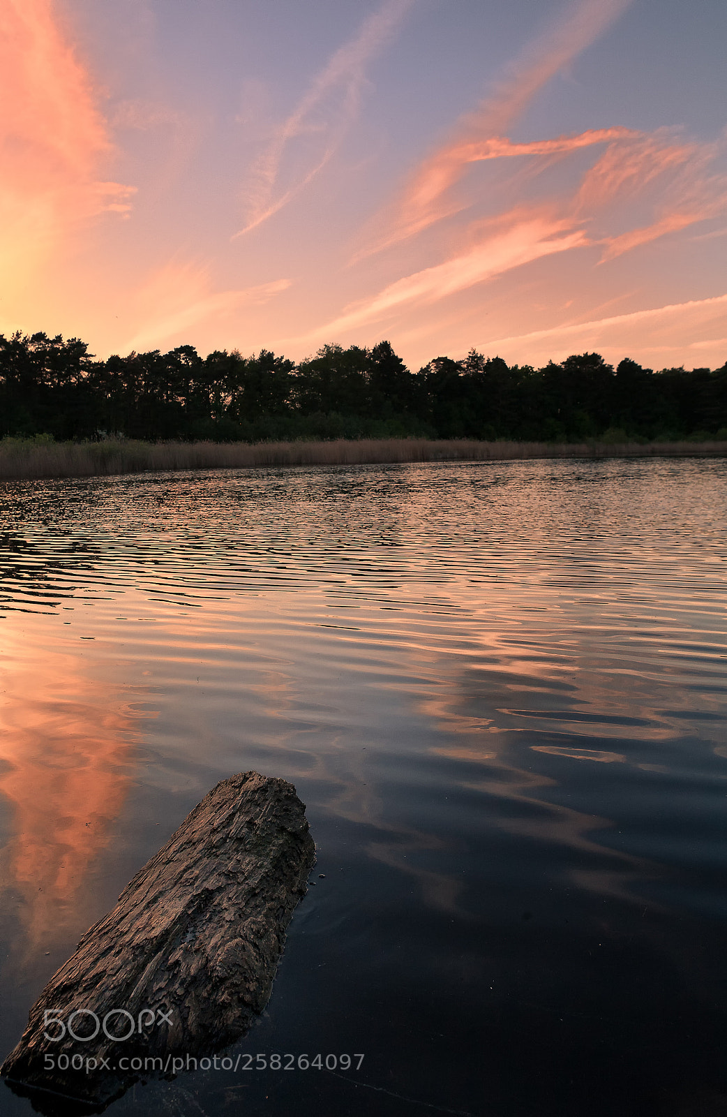 Canon EOS 5D sample photo. Englemere pond sunset photography