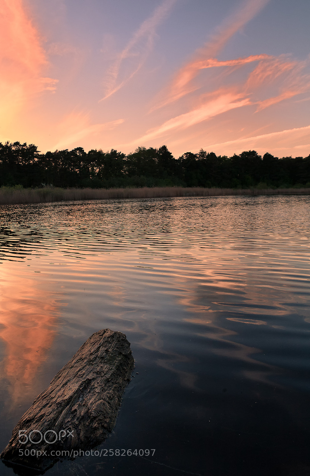 Canon EOS 5D sample photo. Englemere pond sunset photography