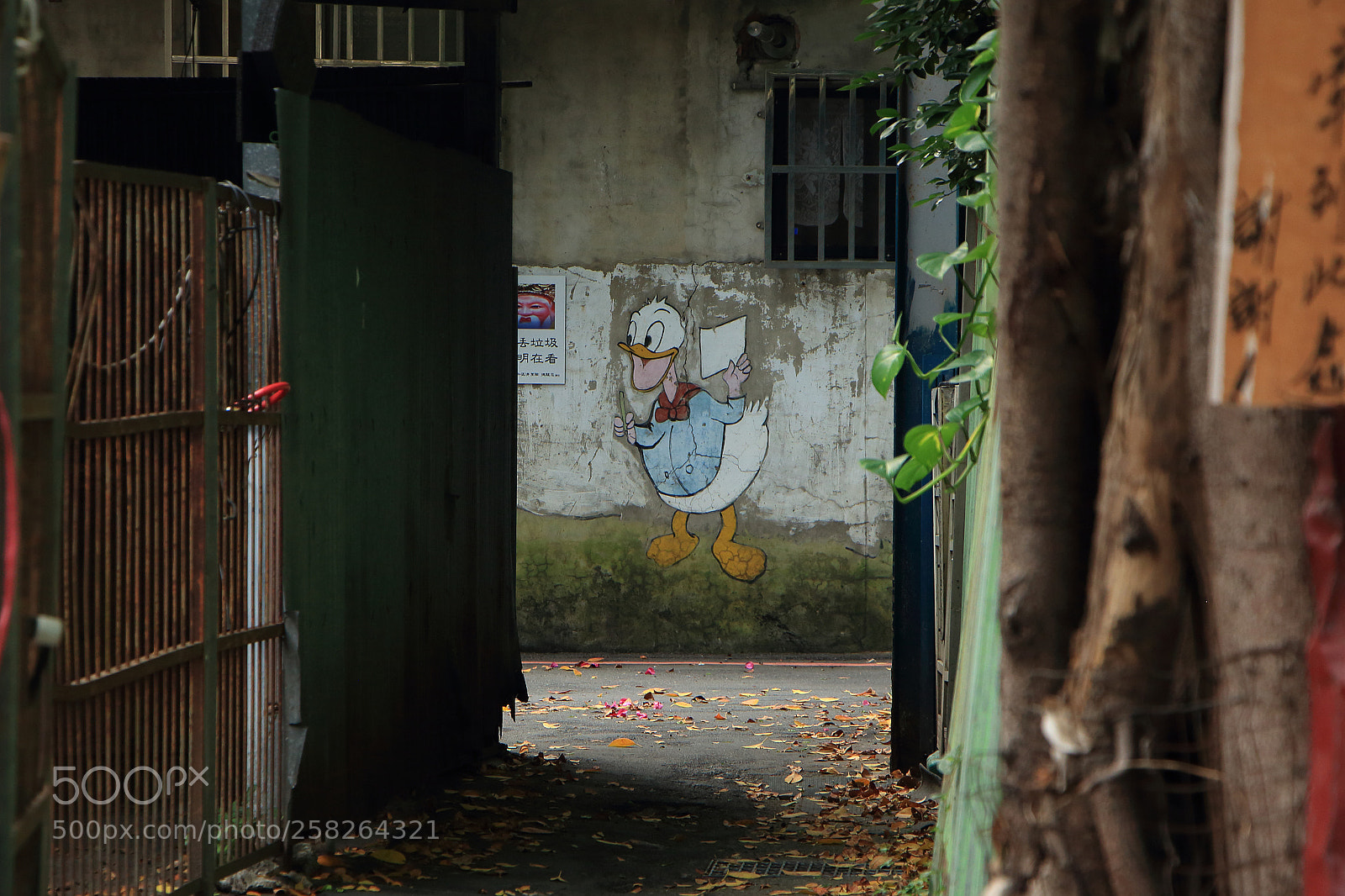 Canon EOS 650D (EOS Rebel T4i / EOS Kiss X6i) sample photo. #street_blues photography