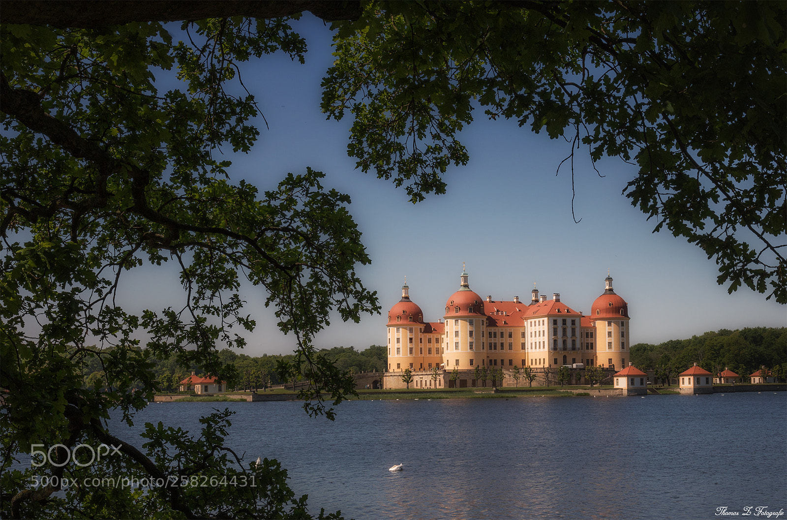 Canon EOS 750D (EOS Rebel T6i / EOS Kiss X8i) sample photo. Schloss moritzburg photography