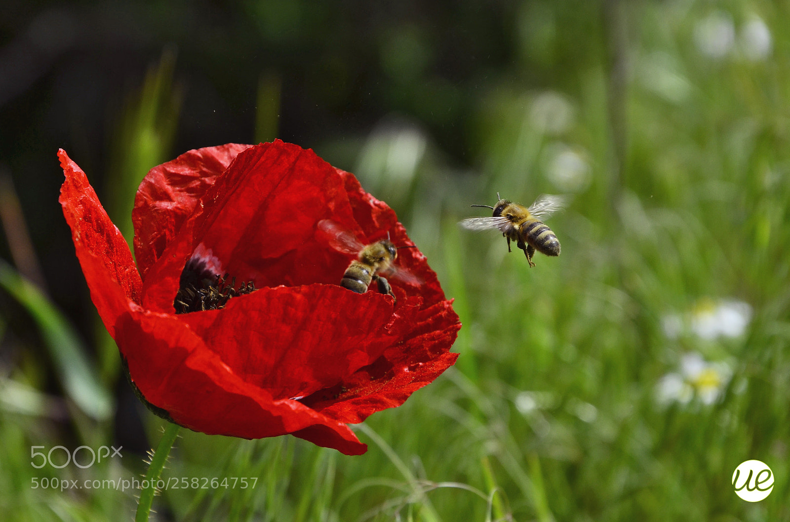 Nikon D7000 sample photo. Working time photography