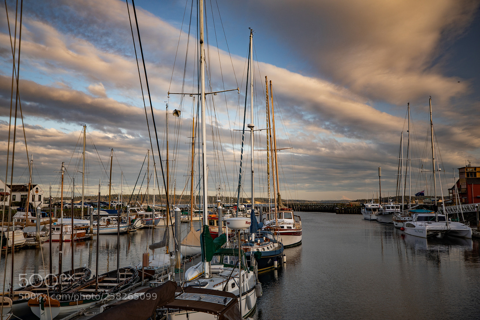 Canon EOS 5D Mark IV sample photo. Port hudson photography