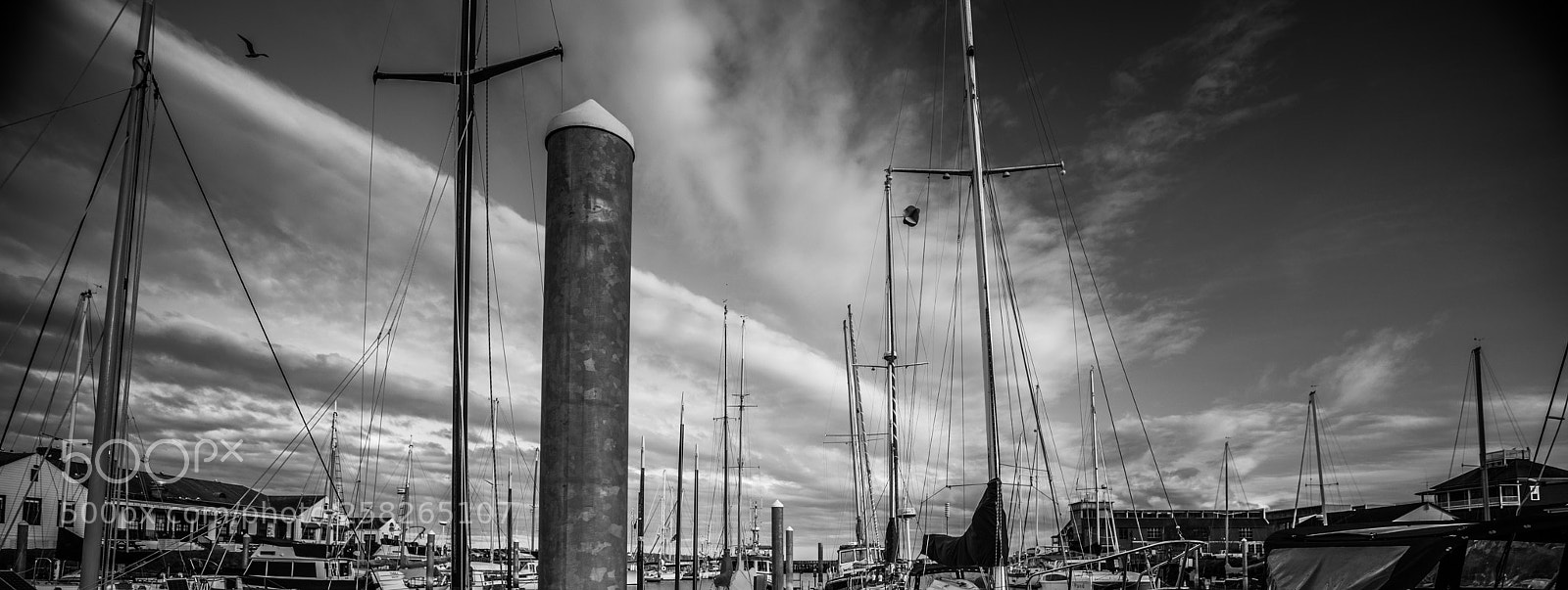 Canon EOS 5D Mark IV sample photo. Port hudson photography