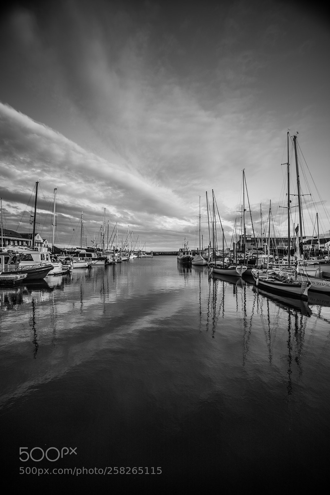 Canon EOS 5D Mark IV sample photo. Untitled photography